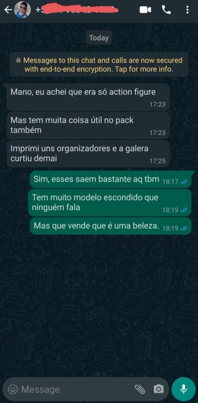 Depoimento de cliente no WhatsApp sobre o pack de miniaturas