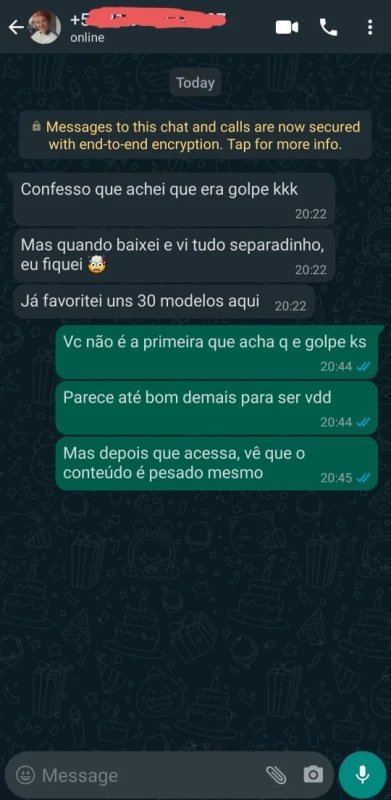 Depoimento de cliente no WhatsApp sobre os modelos organizados