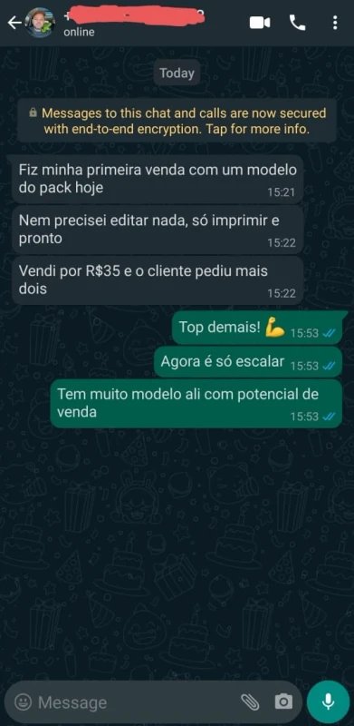 Depoimento de cliente no WhatsApp sobre venda de miniaturas impressas